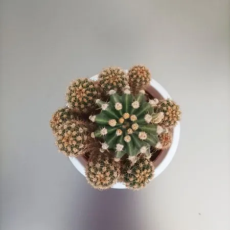 Jazz & Wine - Luxury By The Sea & Parking & Hbo & Netflix