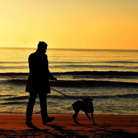 Jazz & Wine - Luxury By The Sea & Parking & Hbo & Netflix Βάρνα