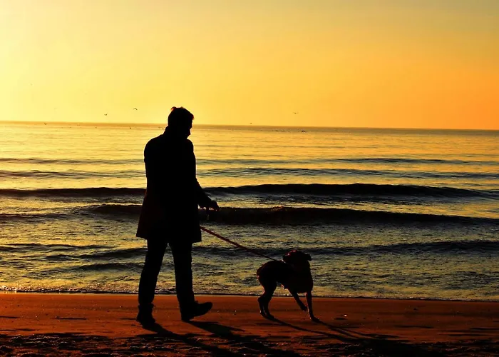 Jazz & Wine Apartment & Next To Sea Garden & Parking & Hbo & Netflix & 2 Bathrooms Varna